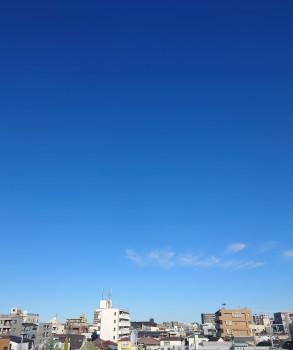 今週もワクワクして