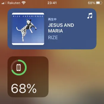 【音楽】 #49 JESUS AND MARIA / RIZE
