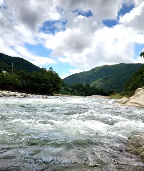 たまには旅を