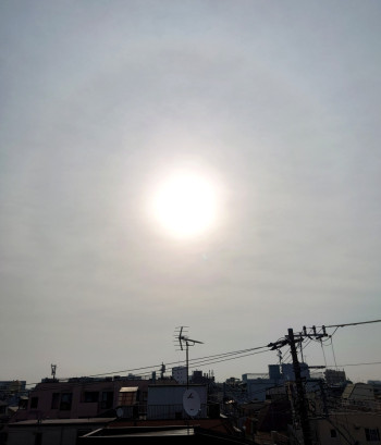 今朝の太陽
