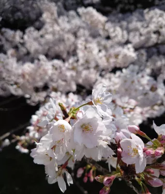 運を開く言葉