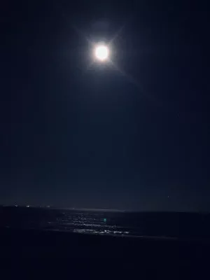 海で月光浴