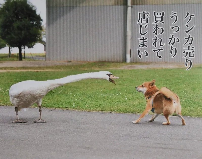 7月半ば