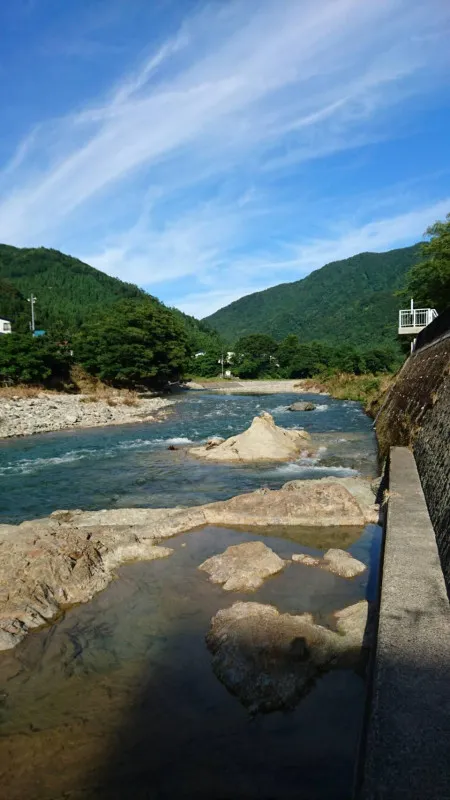 来年の夏には