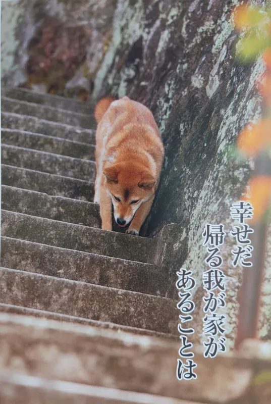 朝のルーティン