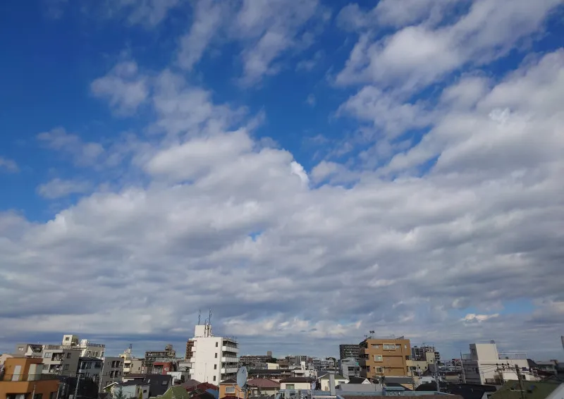 屋上なう