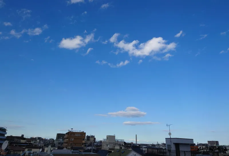 屋上なう