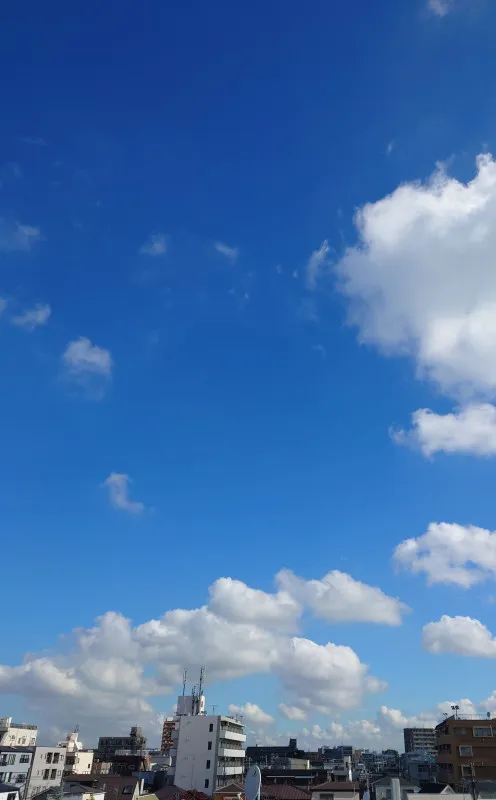 永遠の平和を願い