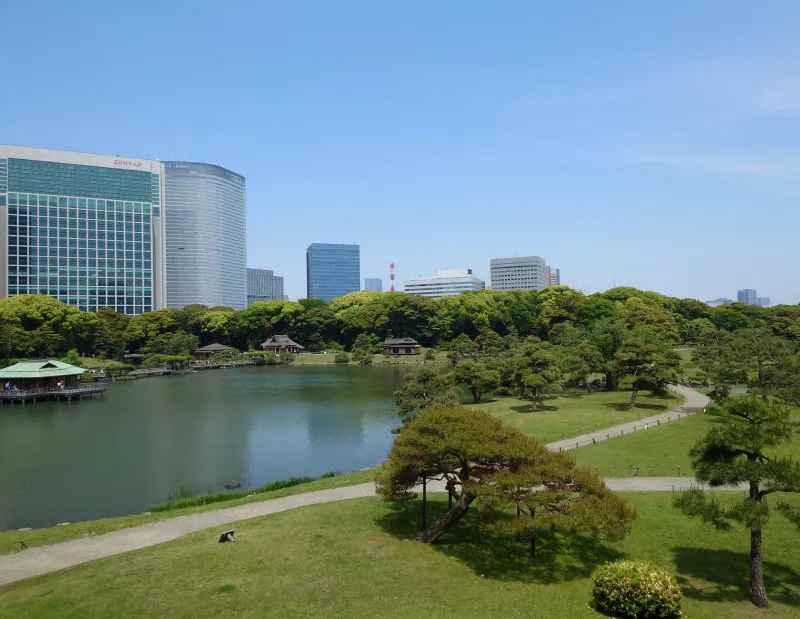 東京には緑がたくさんあるってよ