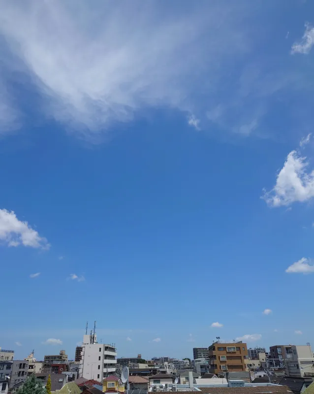 今朝の空