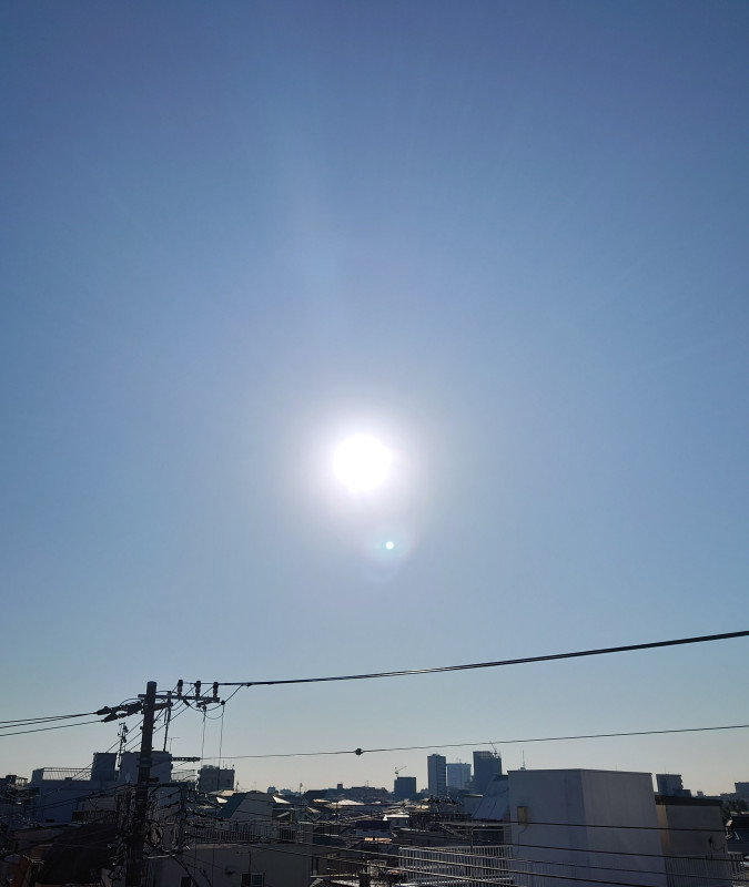 今日は凄く良い日