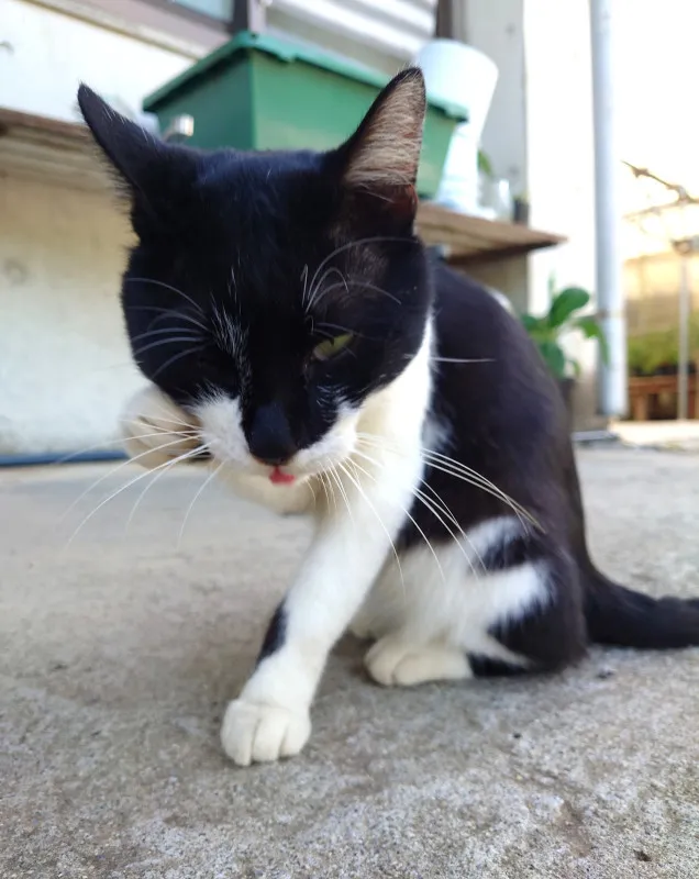 人間も動物も一緒だよ