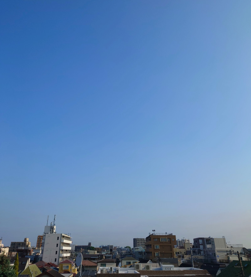 月初めのルーティン