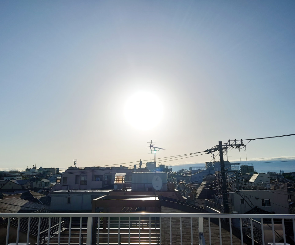 朝から気持ちいい
