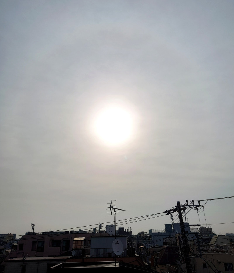 今朝の太陽