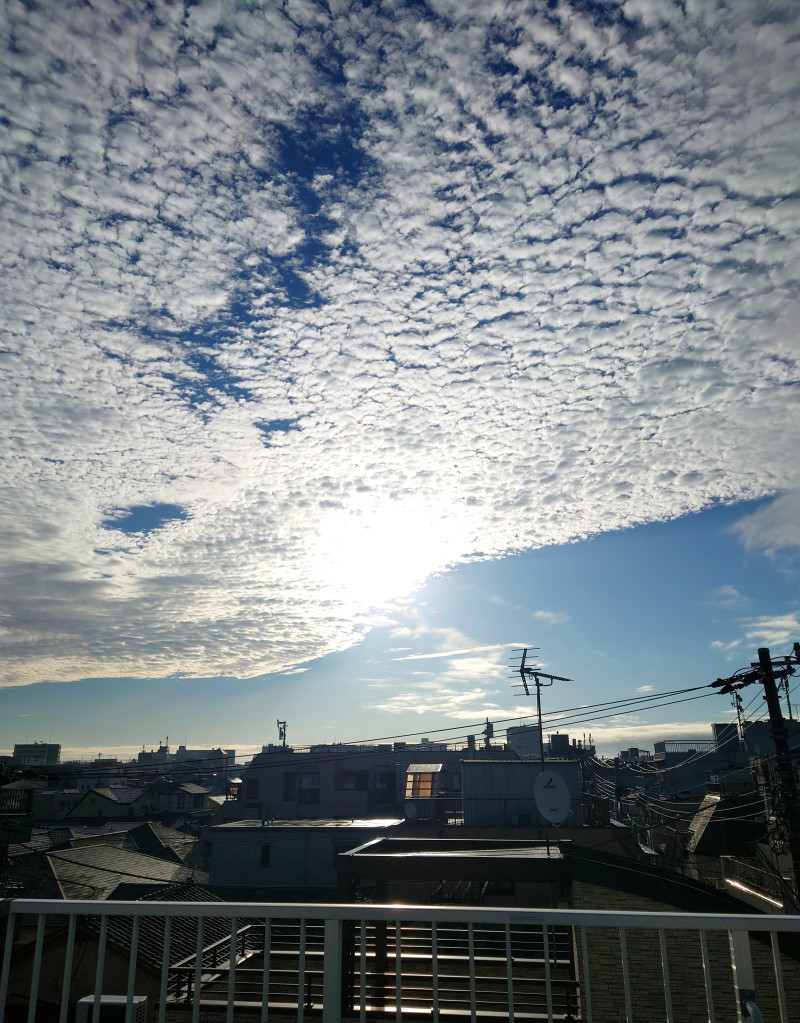 歯を大切に