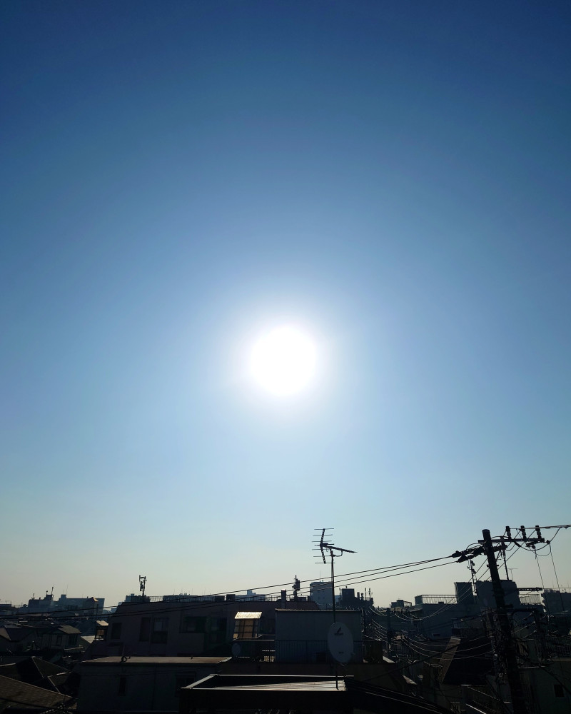 免許証更新