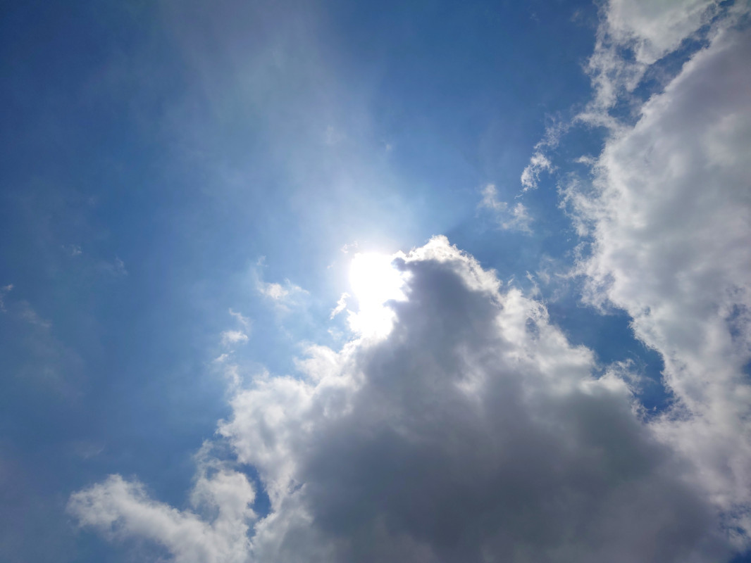 今日は夏至