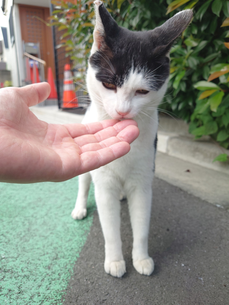 今週も良い事が沢山ありますように