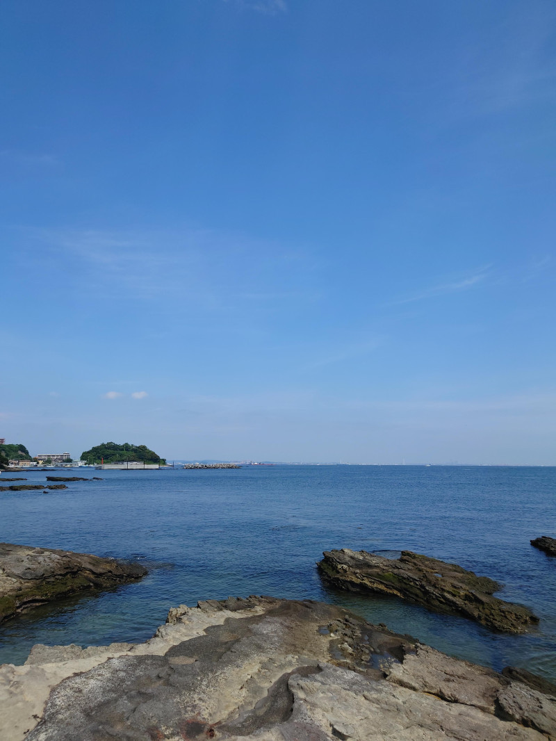 約半年経過