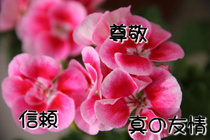 アロマディヒューザー？ディフューザー？（前編）