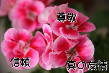 アロマディヒューザー？ディフューザー？（前編）