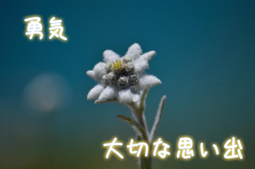 1年