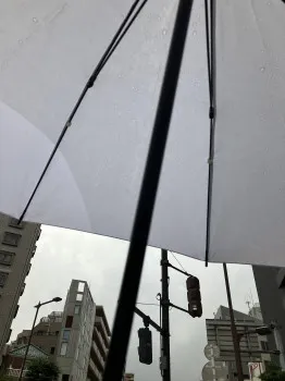 おはようございます☂️