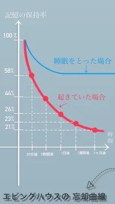 エビングハウスの忘却曲線