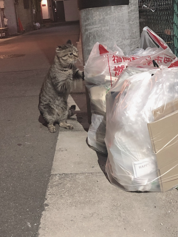 6月に関西へ行くかも