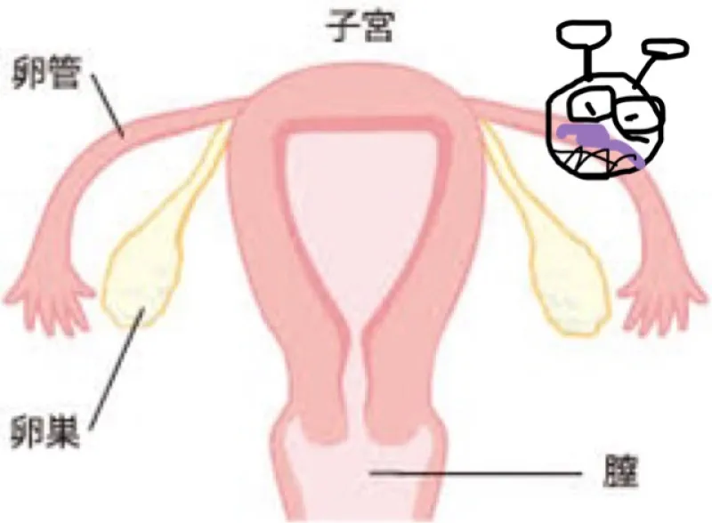 ★男性にも知ってもらいたい性病★