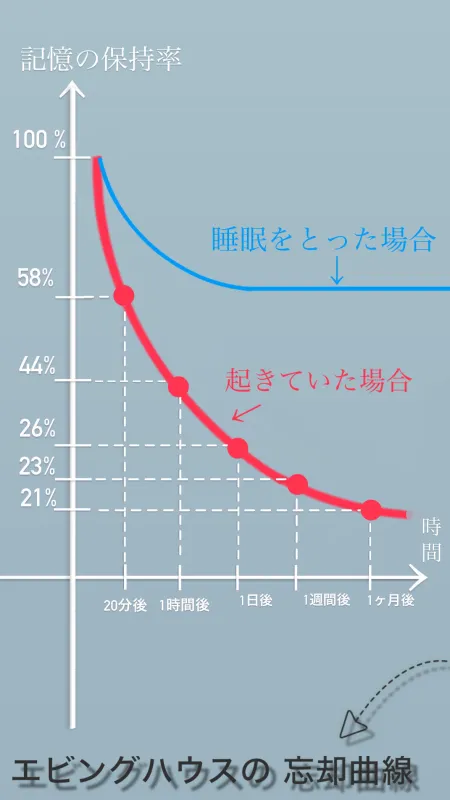 エビングハウスの忘却曲線