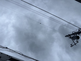 雨やみませんね