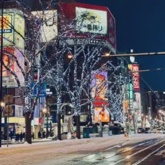 雪に染まるすすきの