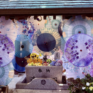 やっと北海道っぽい夏になってきました