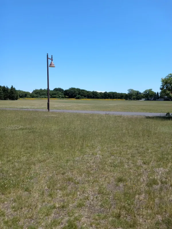 近くの公園に散歩