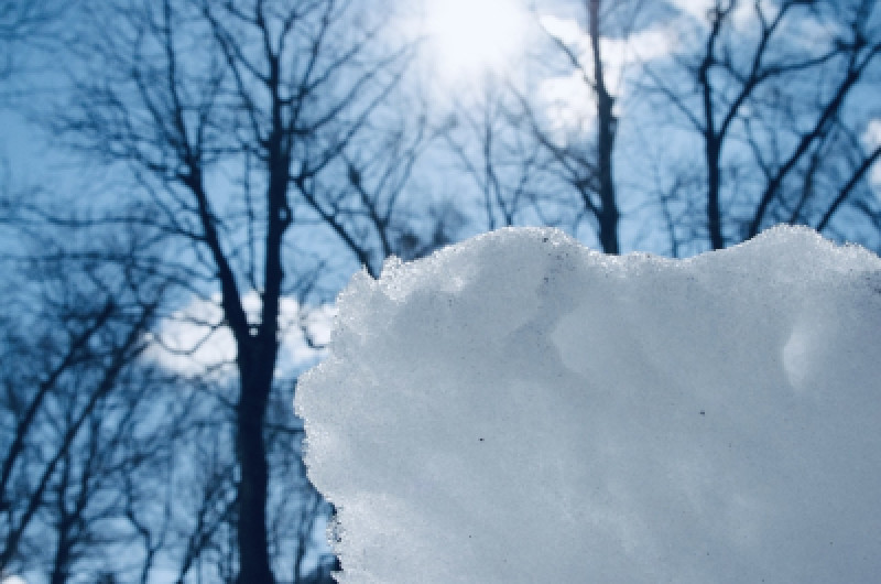 札幌雪まつり、いよいよですね。