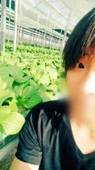 無農薬野菜を作っていると周りまで幸せに