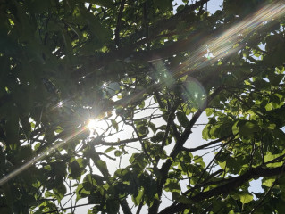 No.97 大好きな曲(でも昔は一時期鬱ソング)