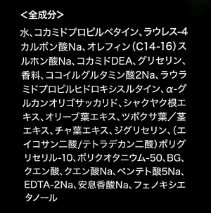 桃田の装備品