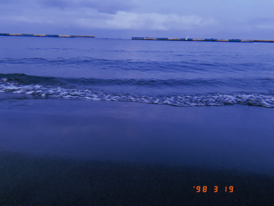 海月