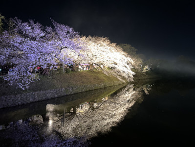 3月お花見イベント