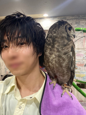 No.6 今取り組んでいること