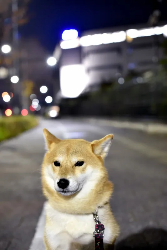 【特別な夜の時間】