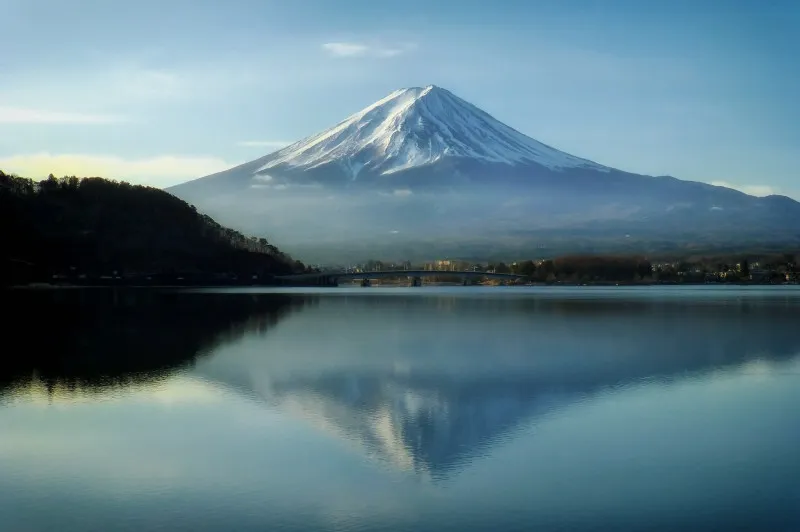 【ニ年振り】