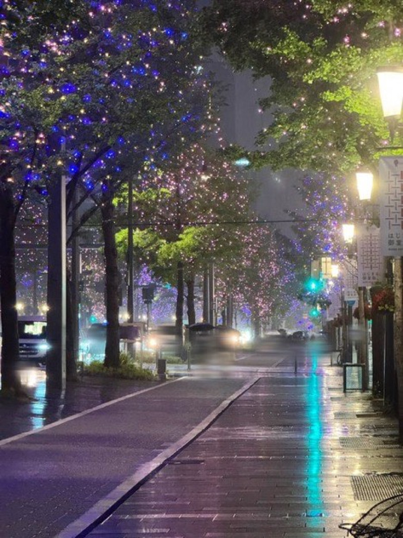 No.99 雨ノヒモ 〜雨が魅せてくれる景色〜