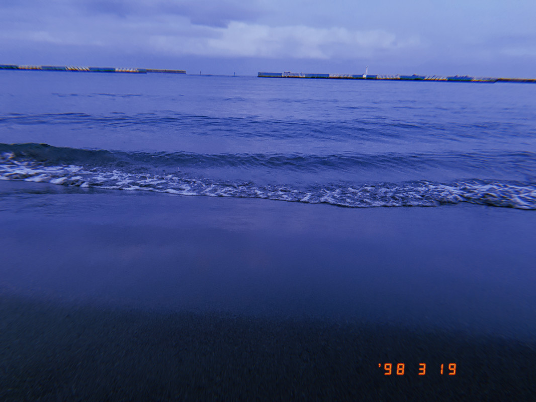 海月