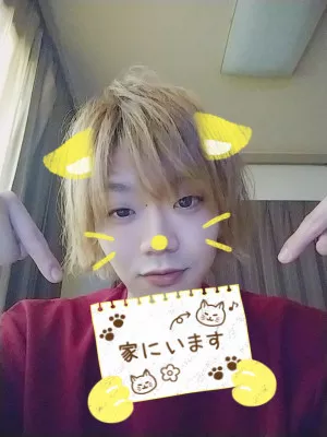 猫だお♡