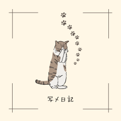 よっちゃんイカで釣れた夏と、検索では見つからない宝物