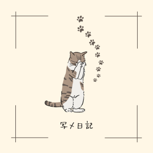 女性用風俗でのサブスクリプションコース